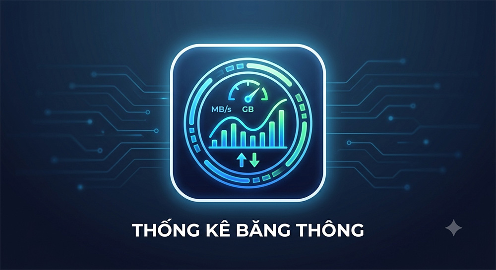 Thống kê lưu lượng truy cập – Theo dõi hiệu suất website theo thời gian thực